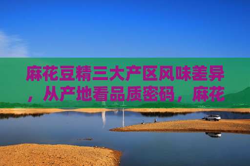 麻花豆精三大产区风味差异,从产地看品质密码,麻花豆精三大产区,风味差异里的品质密码 麻花豆精三大产区风味差异,从产地看品质密码,麻花豆精三大产区,风味差异里的品质密码