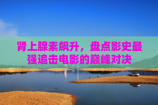 肾上腺素飙升,盘点影史最强追击电影的巅峰对决 肾上腺素飙升,盘点影史最强追击电影的巅峰对决