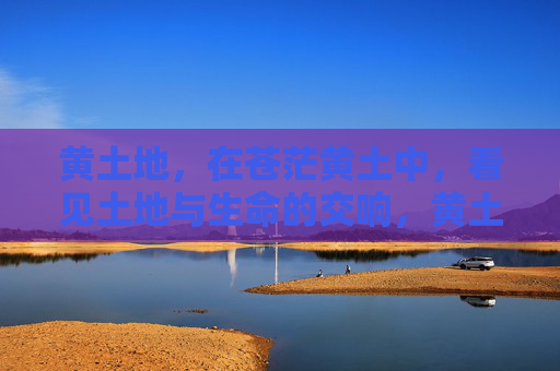 黄土地,在苍茫黄土中,看见土地与生命的交响,黄土地的生命交响 黄土地,在苍茫黄土中,看见土地与生命的交响,黄土地的生命交响