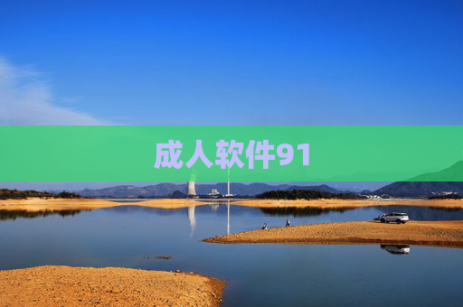成人软件91 成人软件91