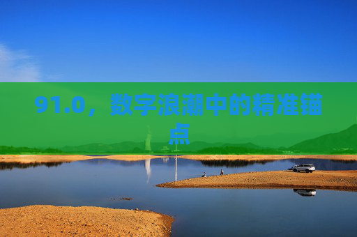91.0,数字浪潮中的精准锚点 91.0,数字浪潮中的精准锚点