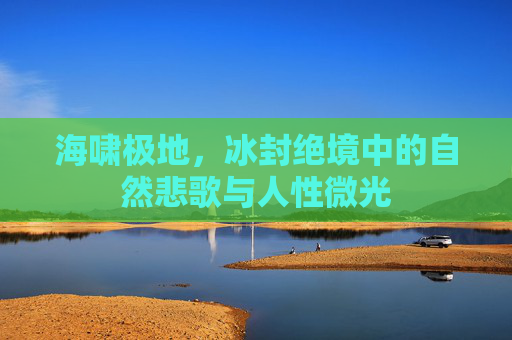 海啸极地,冰封绝境中的自然悲歌与人性微光 海啸极地,冰封绝境中的自然悲歌与人性微光