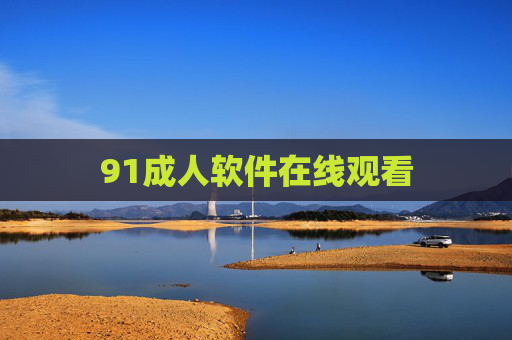 91成人软件在线观看