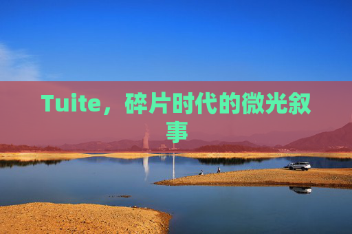 Tuite,碎片时代的微光叙事 Tuite,碎片时代的微光叙事