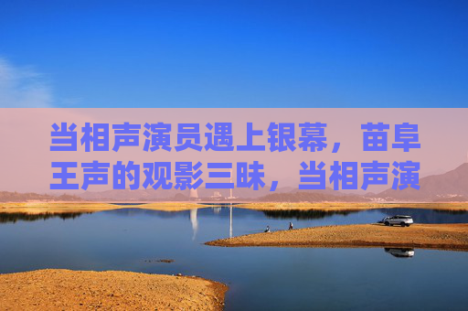 当相声演员遇上银幕，苗阜王声的观影三昧，当相声演员遇上银幕，苗阜王声的观影三昧
