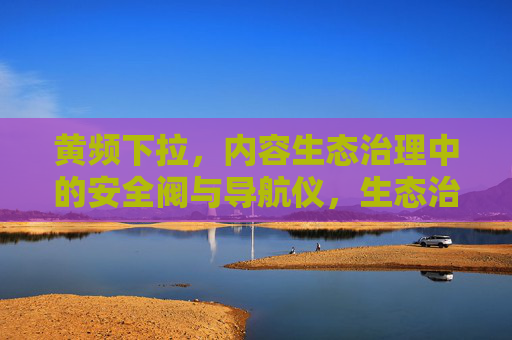 黄频下拉,内容生态治理中的安全阀与导航仪,生态治理的安全阀与导航仪 黄频下拉,内容生态治理中的安全阀与导航仪,生态治理的安全阀与导航仪