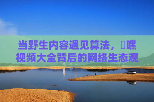 当野生内容遇见算法,屌嘿视频大全背后的网络生态观察 当野生内容遇见算法,屌嘿视频大全背后的网络生态观察