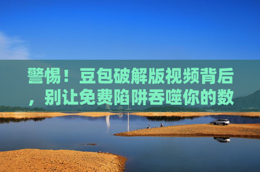 警惕！豆包破解版视频背后，别让免费陷阱吞噬你的数据安全，警惕豆包破解版视频，免费陷阱吞噬数据安全