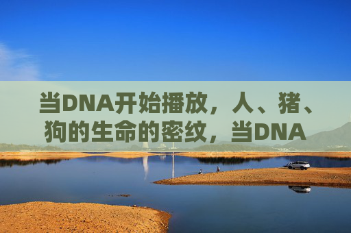 当DNA开始播放，人、猪、狗的生命的密纹，当DNA开始播放，生命的密纹交响