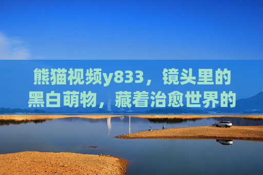 熊猫视频y833，镜头里的黑白萌物，藏着治愈世界的温柔密码，熊猫视频y833，黑白萌物，治愈温柔密码