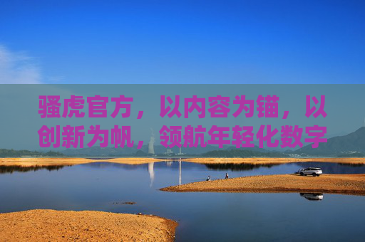 骚虎官方，以内容为锚，以创新为帆，领航年轻化数字生态新航向，为锚创新为帆，骚虎领航年轻化数字生态新航向