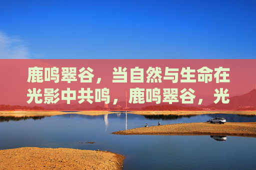 鹿鸣翠谷，当自然与生命在光影中共鸣，鹿鸣翠谷，光影中的生命共鸣