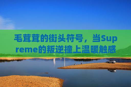 毛茸茸的街头符号,当Supreme的叛逆撞上温暖触感,毛茸茸街头符号,Supreme叛逆撞上温暖触感 毛茸茸的街头符号,当Supreme的叛逆撞上温暖触感,毛茸茸街头符号,Supreme叛逆撞上温暖触感