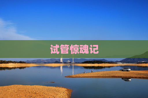 试管惊魂记 试管惊魂记