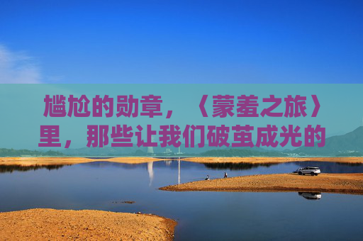 尴尬的勋章,〈蒙羞之旅〉里,那些让我们破茧成光的窘境,尴尬勋章,〈蒙羞之旅〉中破茧成光的窘境 尴尬的勋章,〈蒙羞之旅〉里,那些让我们破茧成光的窘境,尴尬勋章,〈蒙羞之旅〉中破茧成光的窘境