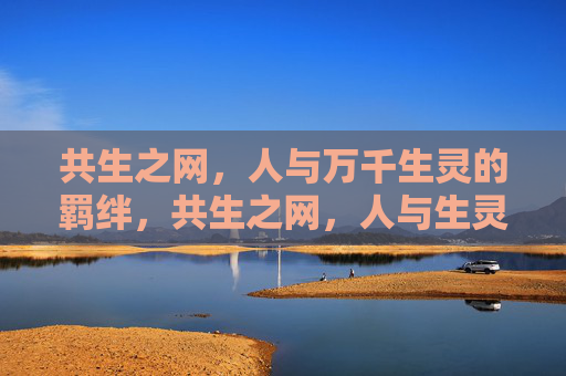 共生之网,人与万千生灵的羁绊,共生之网,人与生灵的羁绊 共生之网,人与万千生灵的羁绊,共生之网,人与生灵的羁绊