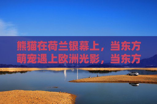 熊猫在荷兰银幕上，当东方萌宠遇上欧洲光影，当东方萌宠遇上欧洲光影，荷兰银幕上的熊猫