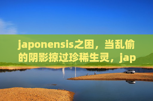japonensis之困,当乱偷的阴影掠过珍稀生灵,japonensis之困,乱偷阴影下的珍稀生灵 japonensis之困,当乱偷的阴影掠过珍稀生灵,japonensis之困,乱偷阴影下的珍稀生灵