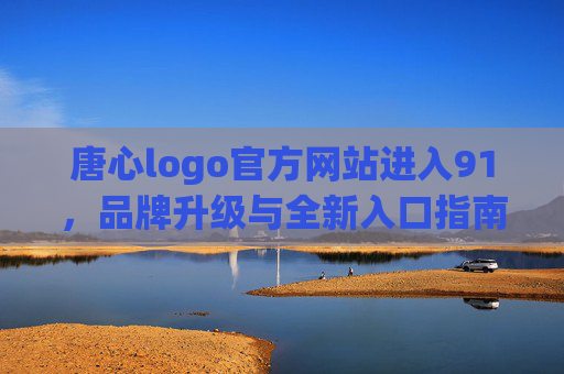 唐心logo官方网站进入91，品牌升级与全新入口指南，唐心logo品牌升级与官网全新入口指南（91）