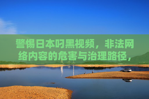 警惕日本叼黑视频，非法网络内容的危害与治理路径，警惕日本非法网络视频内容，危害与治理路径