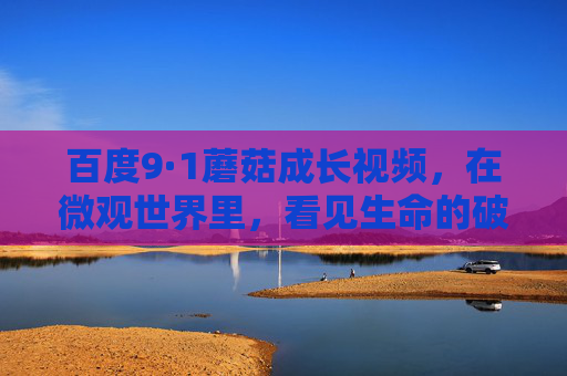 百度9·1蘑菇成长视频，在微观世界里，看见生命的破茧之力，百度9·1蘑菇成长视频，微观世界的生命破茧之力
