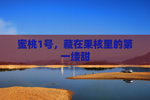 蜜桃1号，藏在果核里的第一缕甜