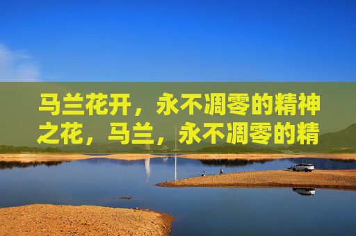 马兰花开，永不凋零的精神之花，马兰，永不凋零的精神之花