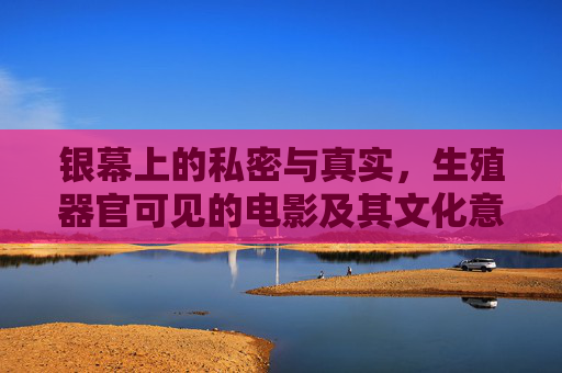 银幕上的私密与真实,生殖器官可见的电影及其文化意义,银幕上的私密与真实,生殖器官可见电影的文化意义 银幕上的私密与真实,生殖器官可见的电影及其文化意义,银幕上的私密与真实,生殖器官可见电影的文化意义
