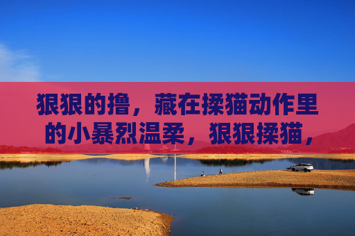 狠狠的撸,藏在揉猫动作里的小暴烈温柔,狠狠揉猫,小暴烈温柔 狠狠的撸,藏在揉猫动作里的小暴烈温柔,狠狠揉猫,小暴烈温柔