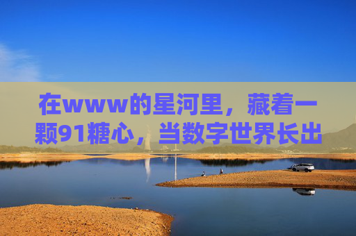 在www的星河里，藏着一颗91糖心，当数字世界长出温度的棱角，91糖心，数字星河的温度棱角