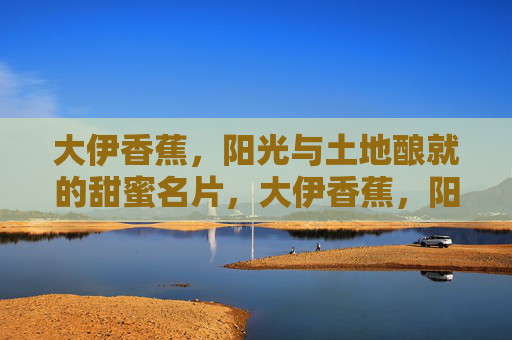 大伊香蕉，阳光与土地酿就的甜蜜名片，大伊香蕉，阳光土地的甜蜜名片