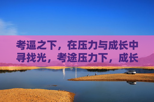 考逼之下,在压力与成长中寻找光,考途压力下,成长寻微光 考逼之下,在压力与成长中寻找光,考途压力下,成长寻微光