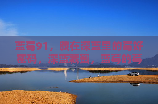 蓝莓91，藏在深蓝里的莓好密码，深蓝藏蜜，蓝莓的莓好密码