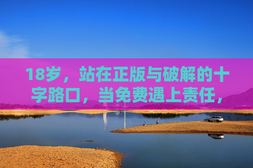 18岁,站在正版与破解的十字路口,当免费遇上责任,18岁,正版与破解间的免费与责任 18岁,站在正版与破解的十字路口,当免费遇上责任,18岁,正版与破解间的免费与责任