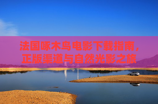 法国啄木鸟电影下载指南,正版渠道与自然光影之旅 法国啄木鸟电影下载指南,正版渠道与自然光影之旅