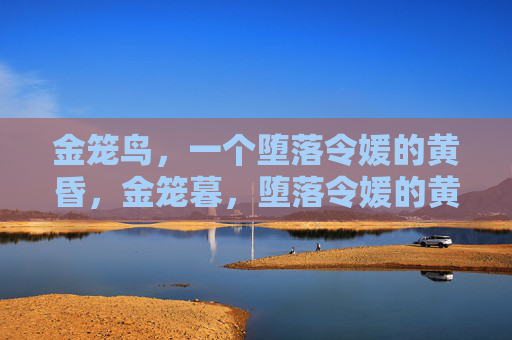 金笼鸟,一个堕落令媛的黄昏,金笼暮,堕落令媛的黄昏 金笼鸟,一个堕落令媛的黄昏,金笼暮,堕落令媛的黄昏
