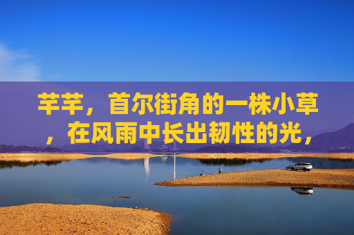 芊芊,首尔街角的一株小草,在风雨中长出韧性的光,芊芊小草,街角韧光 芊芊,首尔街角的一株小草,在风雨中长出韧性的光,芊芊小草,街角韧光