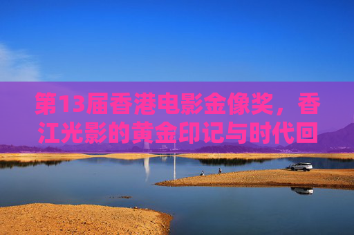 第13届香港电影金像奖,香江光影的黄金印记与时代回响,第13届香港电影金像奖,香江光影的黄金印记与时代回响 第13届香港电影金像奖,香江光影的黄金印记与时代回响,第13届香港电影金像奖,香江光影的黄金印记与时代回响