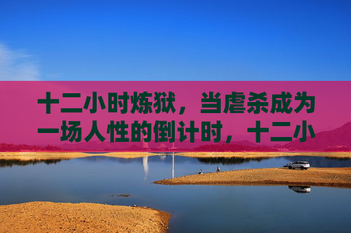 十二小时炼狱，当虐杀成为一场人性的倒计时，十二小时炼狱，虐杀倒计时，人性崩坏