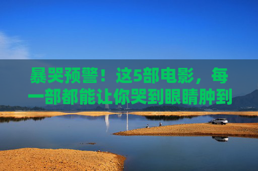 暴哭预警!这5部电影,每一部都能让你哭到眼睛肿到像核桃,暴哭预警!5部哭到眼肿如核桃的电影 暴哭预警!这5部电影,每一部都能让你哭到眼睛肿到像核桃,暴哭预警!5部哭到眼肿如核桃的电影