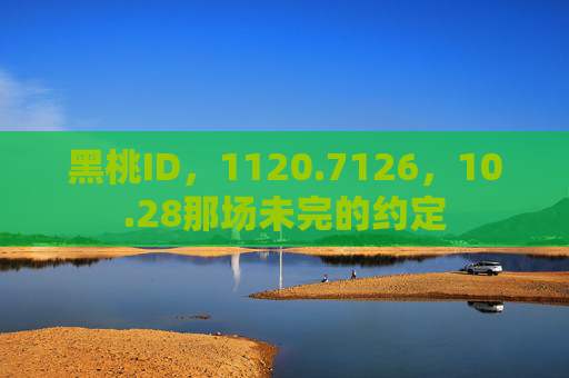 黑桃ID，1120.7126，10.28那场未完的约定