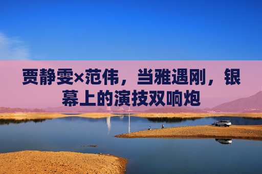 贾静雯×范伟,当雅遇刚,银幕上的演技双响炮 贾静雯×范伟,当雅遇刚,银幕上的演技双响炮