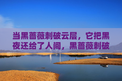 当黑蔷薇刺破云层,它把黑夜还给了人间,黑蔷薇刺破云层,夜归人间 当黑蔷薇刺破云层,它把黑夜还给了人间,黑蔷薇刺破云层,夜归人间