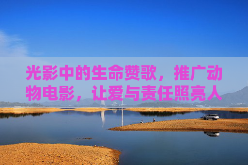 光影中的生命赞歌,推广动物电影,让爱与责任照亮人心,光影里的生命赞歌,动物电影让爱与责任照亮人心 光影中的生命赞歌,推广动物电影,让爱与责任照亮人心,光影里的生命赞歌,动物电影让爱与责任照亮人心