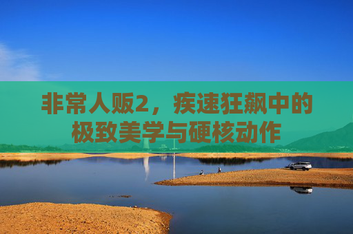 非常人贩2,疾速狂飙中的极致美学与硬核动作 非常人贩2,疾速狂飙中的极致美学与硬核动作