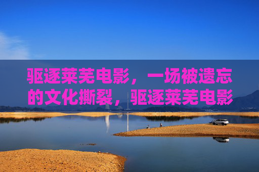 驱逐莱芜电影,一场被遗忘的文化撕裂,驱逐莱芜电影,一场被遗忘的文化撕裂 驱逐莱芜电影,一场被遗忘的文化撕裂,驱逐莱芜电影,一场被遗忘的文化撕裂