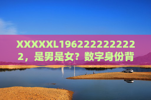 XXXXXL1962222222222，是男是女？数字身份背后的思考，数字身份的性别之问，代码背后的身份思考