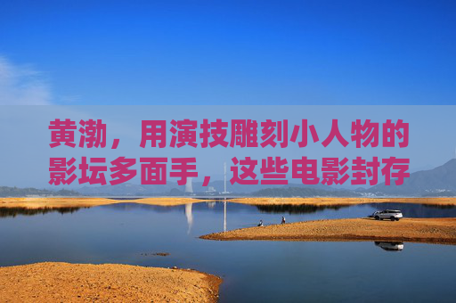 黄渤，用演技雕刻小人物的影坛多面手，这些电影封存着他的高光时刻，黄渤，演技雕刻小人物的影坛多面手，银幕封存高光时刻