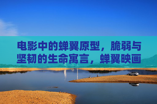 电影中的蝉翼原型,脆弱与坚韧的生命寓言,蝉翼映画,脆弱与坚韧的生命寓言 电影中的蝉翼原型,脆弱与坚韧的生命寓言,蝉翼映画,脆弱与坚韧的生命寓言