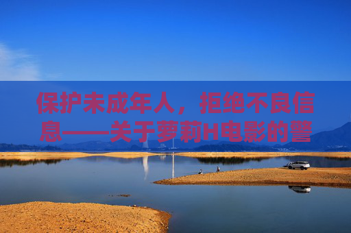 保护未成年人，拒绝不良信息——关于萝莉H电影的警示与正确引导，保护未成年人，警惕萝莉H电影不良信息侵蚀